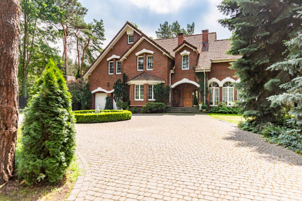 Best Local Driveway Pavers  in Yalaha, FL