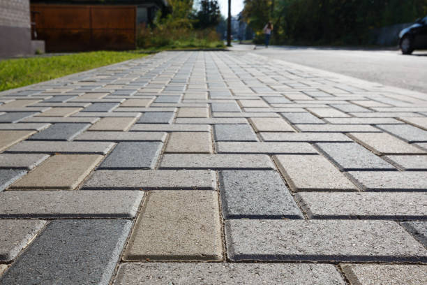 Best Driveway Paving Contractor  in Yalaha, FL