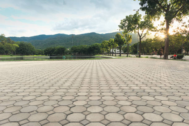 Best Affordable Driveway Pavers  in Yalaha, FL
