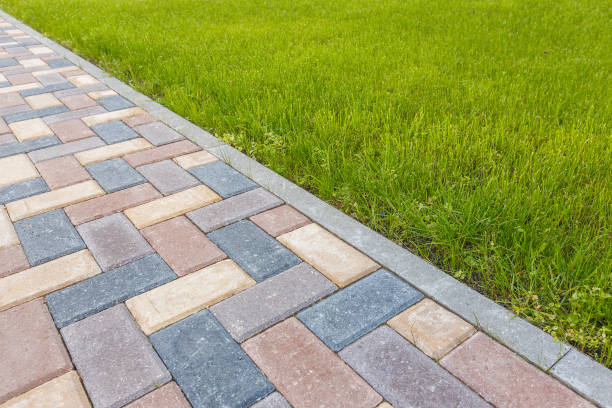 Best Residential Paver Driveway  in Yalaha, FL